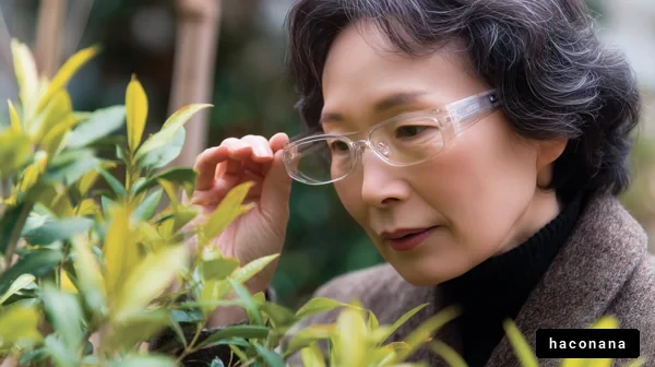 植物を見つめる女性