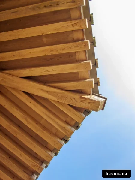 美しい木製の天井