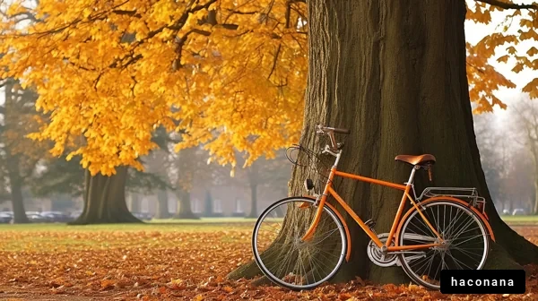 秋の公園に停まる自転車