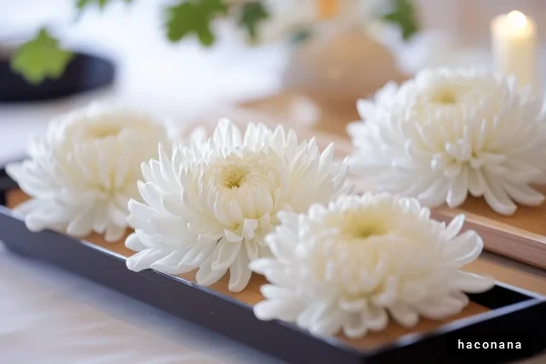 美しい白い花のアレンジメント