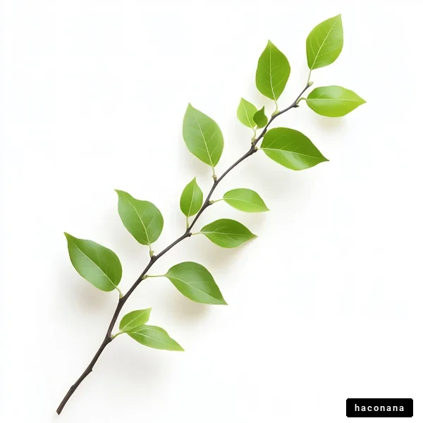 緑の葉の美しさ