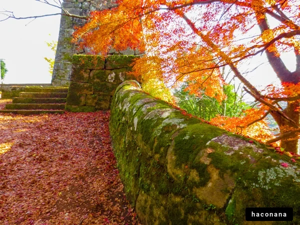 秋の紅葉と石垣