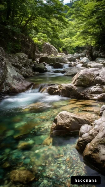 清流の美しい風景