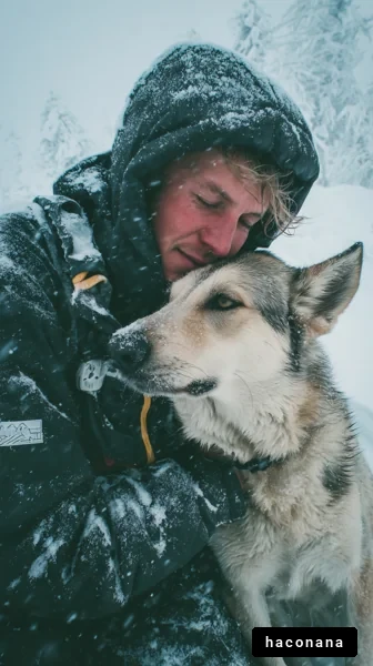 雪の中での犬との絆