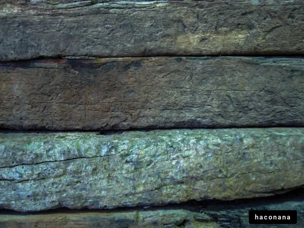 木材の質感と模様