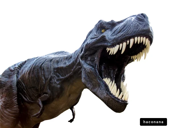 恐竜のリアルな模型