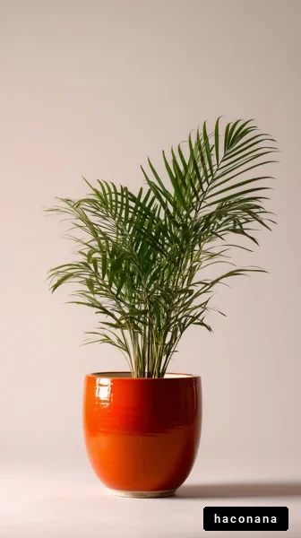 オレンジの鉢植え植物