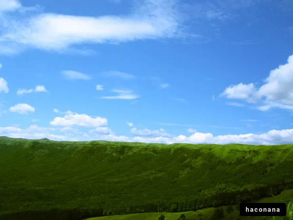 青空と緑の風景