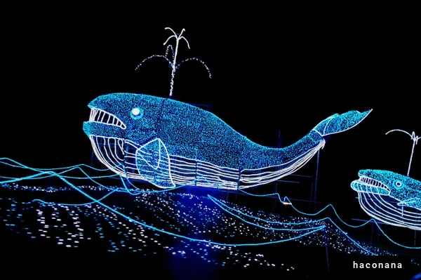 光るクジラのイルミネーション