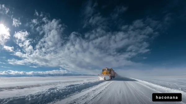 冬の雪道を走る列車