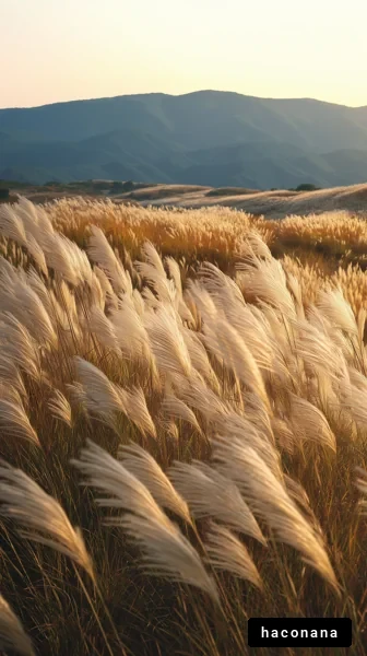 美しい草原と山々