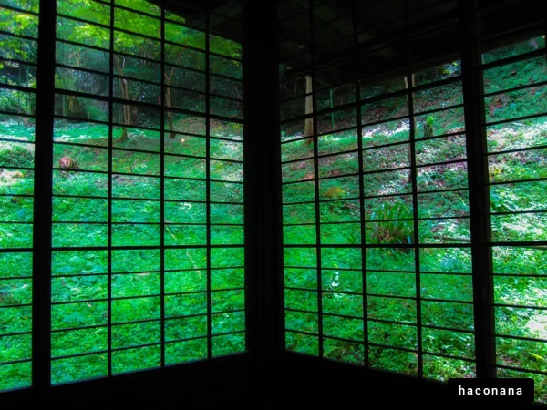 緑あふれる窓の景色