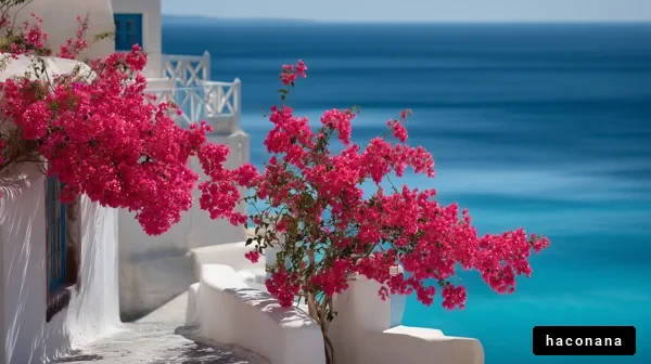 美しい海と花の景色