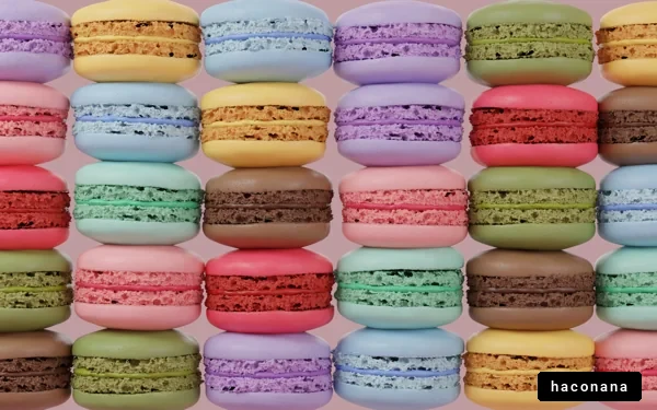 カラフルなマカロンのデザイン