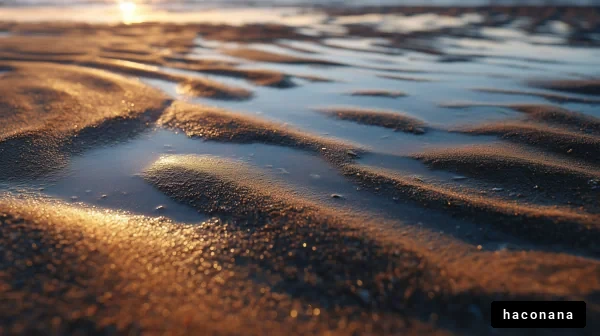 美しい砂浜の風景