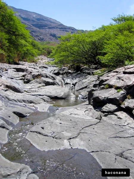緑あふれる渓流の風景