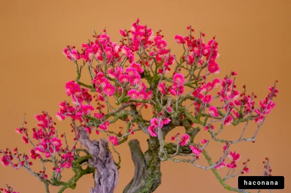 美しい桃の盆栽