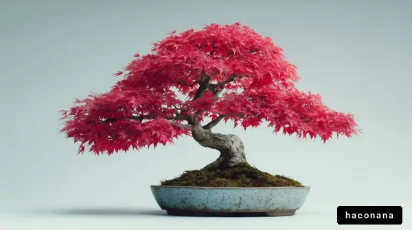 紅葉の盆栽の美しさ