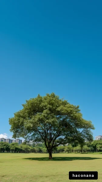 青空の下の大きな木