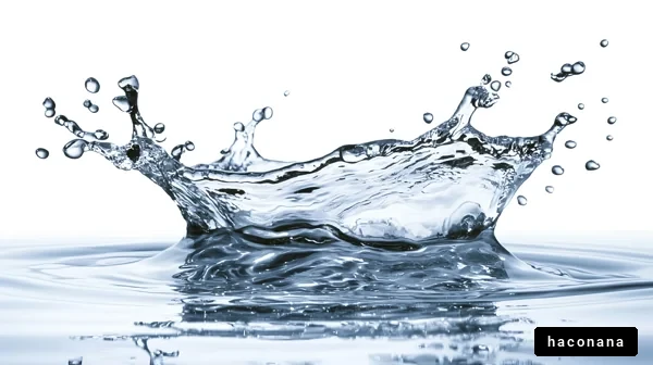 水しぶきの美しい瞬間