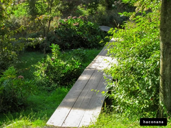 自然の中の小道