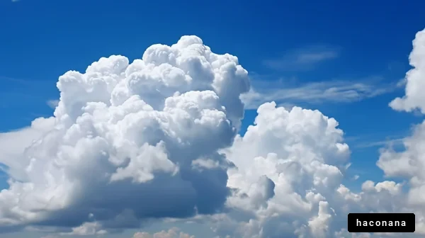 青空に浮かぶ白い雲