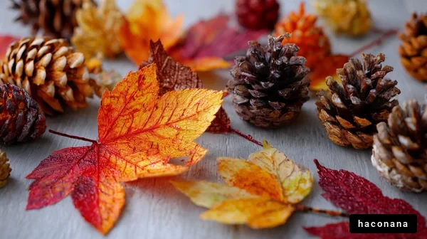 秋の落ち葉と松ぼっくり