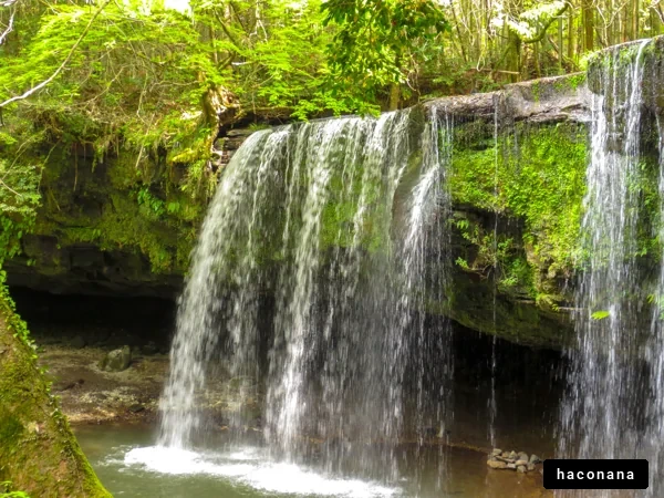 美しい滝の風景