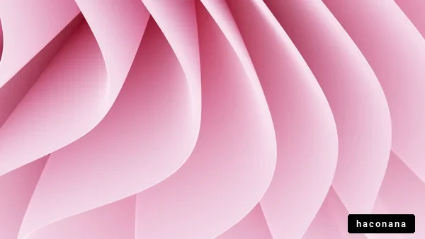 柔らかなピンクの曲線