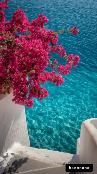 美しい海と花の景色