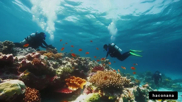 海中のダイバーと珊瑚