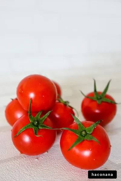 新鮮なトマトの集合