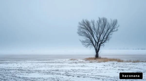 静寂の冬の風景
