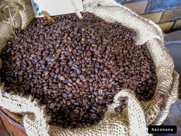 コーヒー豆がたくさん