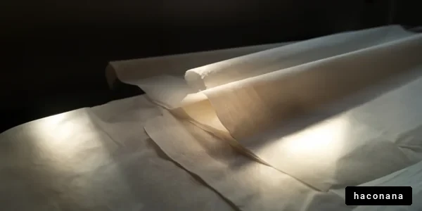 光を受けた紙の美しさ