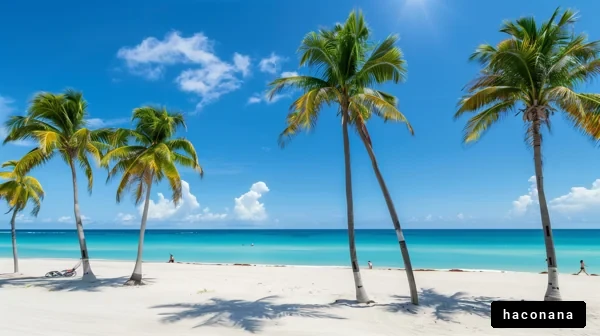 美しいビーチとヤシの木