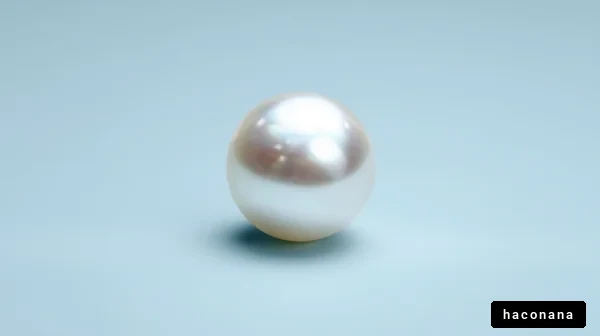 美しい真珠の画像