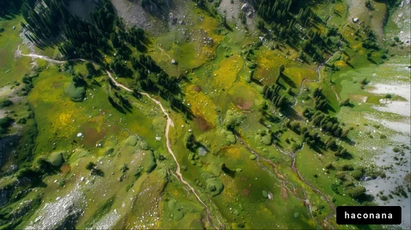 美しい緑の風景