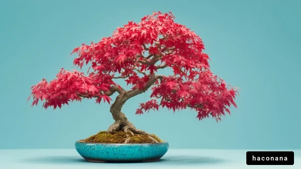 紅葉の盆栽アート
