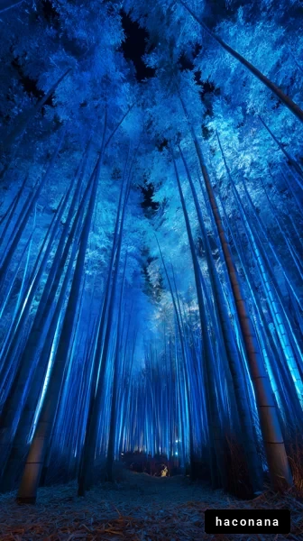 青く照らされた竹林