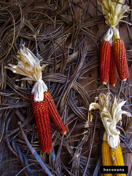 カラフルなトウモロコシの装飾