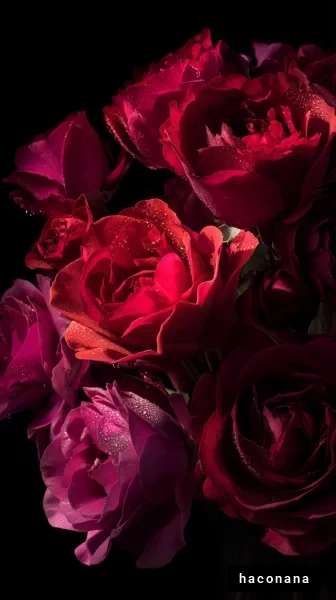 美しいバラの花束