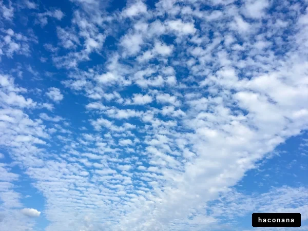 青空と雲の景色