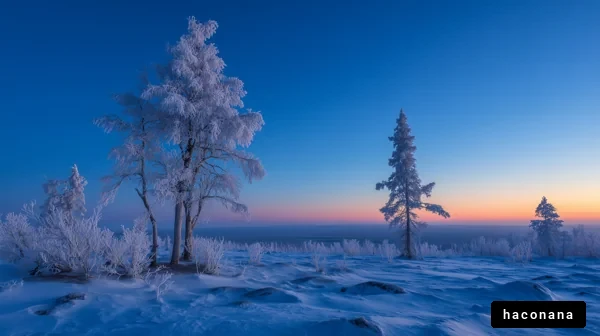 冬の静寂に包まれて