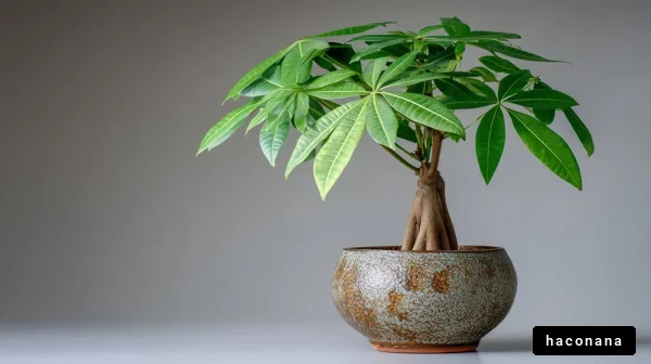 観葉植物の美しい姿