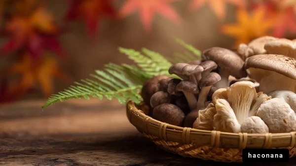 秋の味覚、きのこ盛り