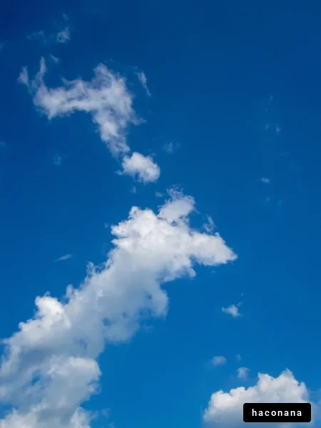 青空に浮かぶ雲