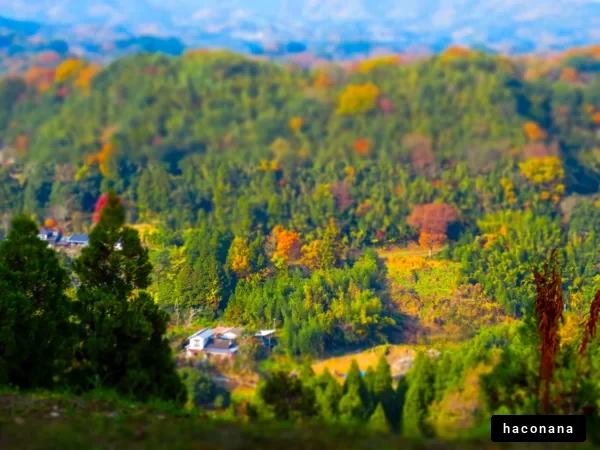 秋の色彩に包まれた山々