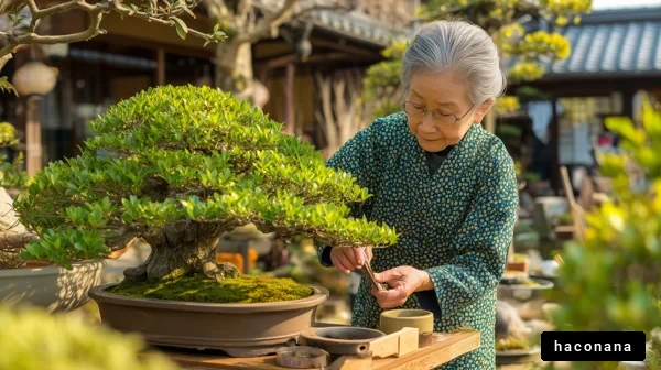 盆栽を手入れする女性