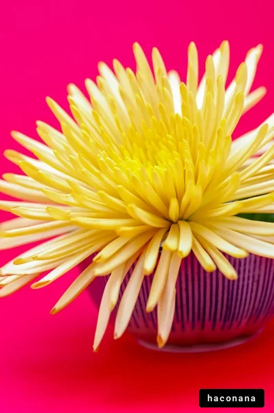 色鮮やかな花のアップ